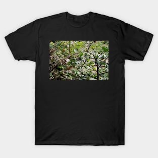 Snail in Holly Bush T-Shirt